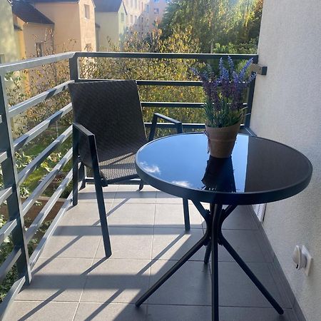 Cerna Ruze- Apartman 5 Plzen Ngoại thất bức ảnh