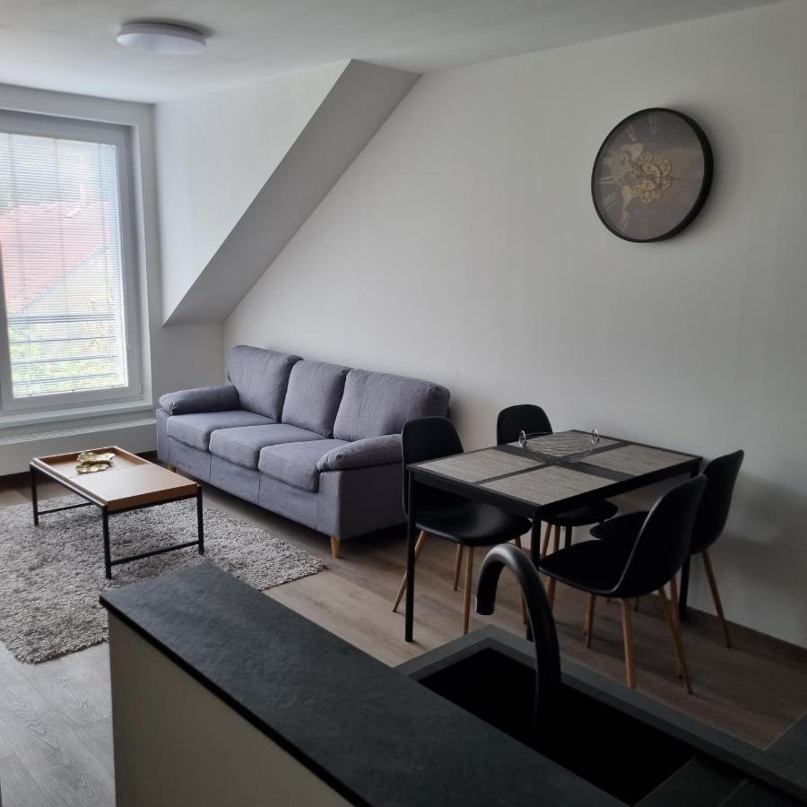 Cerna Ruze- Apartman 5 Plzen Ngoại thất bức ảnh