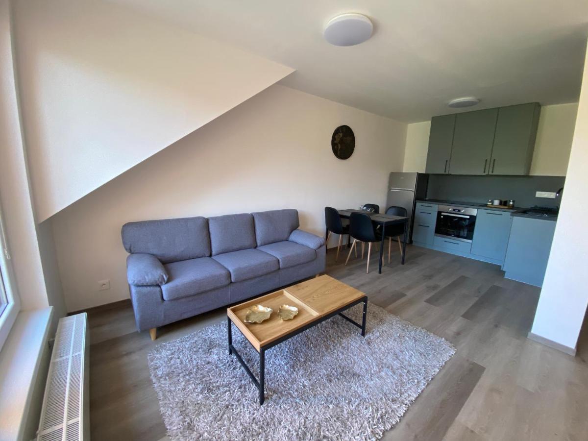 Cerna Ruze- Apartman 5 Plzen Ngoại thất bức ảnh
