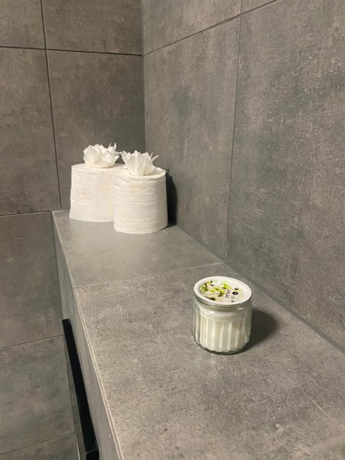 Cerna Ruze- Apartman 5 Plzen Ngoại thất bức ảnh