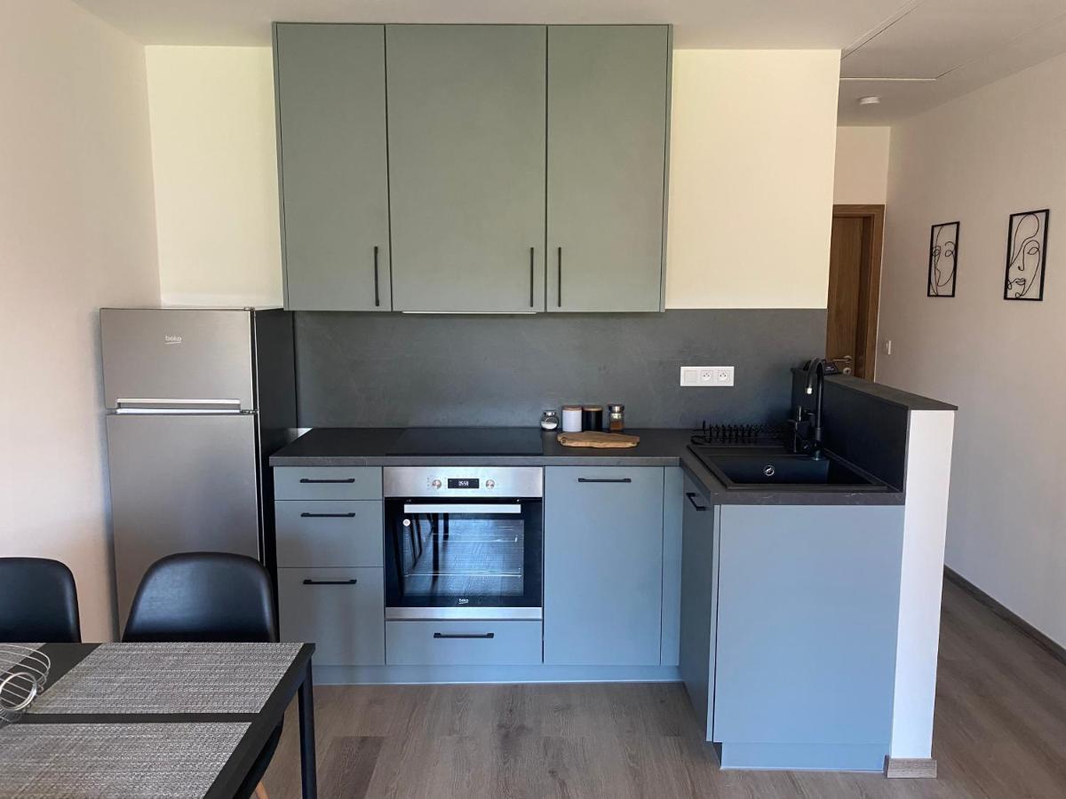 Cerna Ruze- Apartman 5 Plzen Ngoại thất bức ảnh