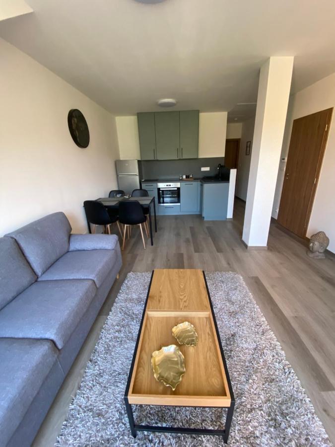 Cerna Ruze- Apartman 5 Plzen Ngoại thất bức ảnh