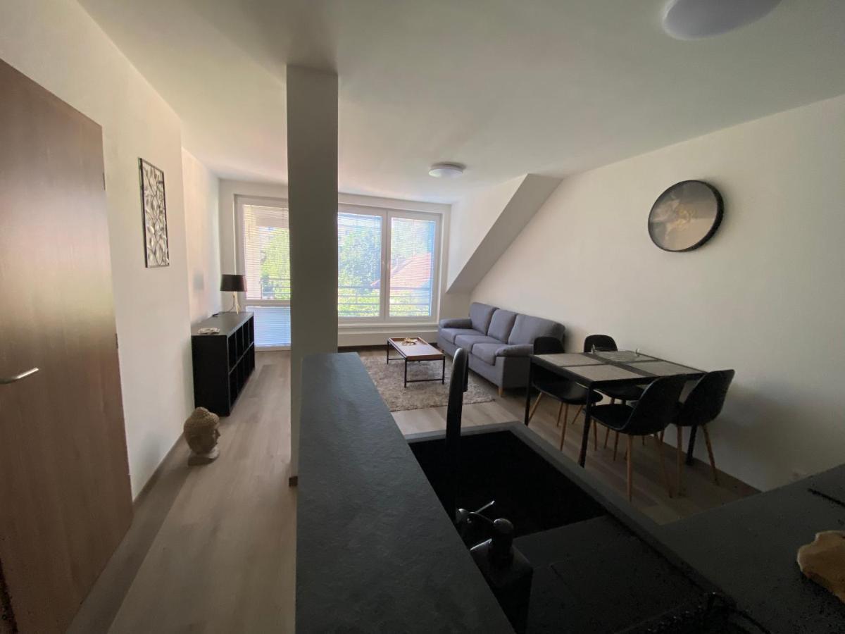 Cerna Ruze- Apartman 5 Plzen Ngoại thất bức ảnh